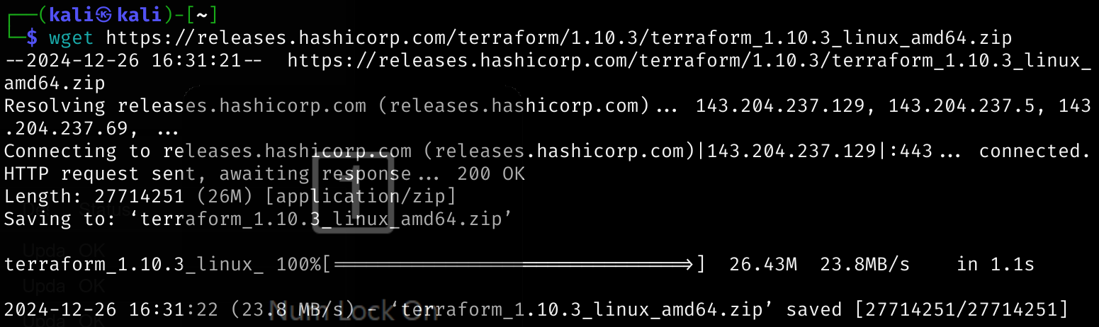 wget terraform